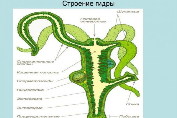 Кракен сайт kr2web in цены