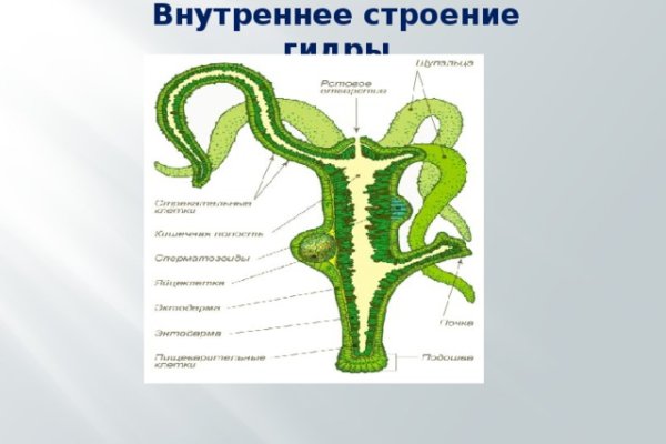 Полезные сайты тор